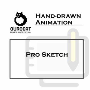 Pro Sketch