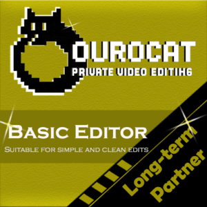Basic Editor