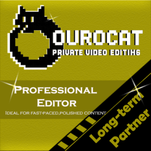 Professional editor